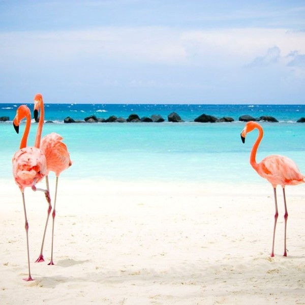 Александра Абрамова