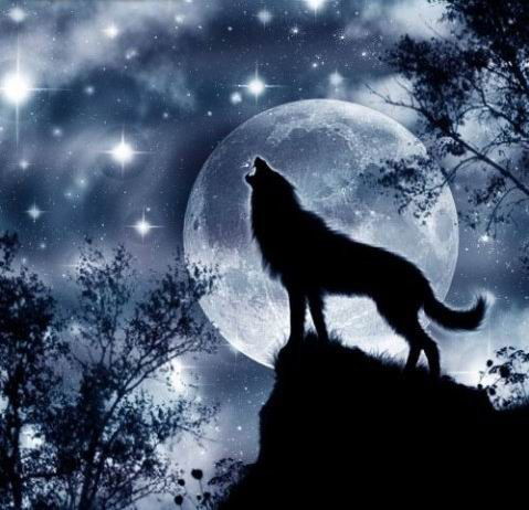 Сергей Думеник