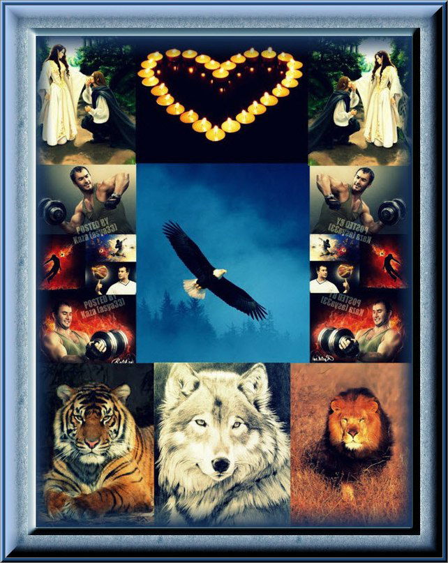 Дмитрий Коломиец