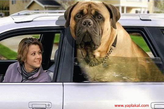 Владимир Зворыгин