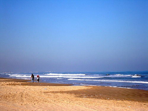 Наташа Литвин