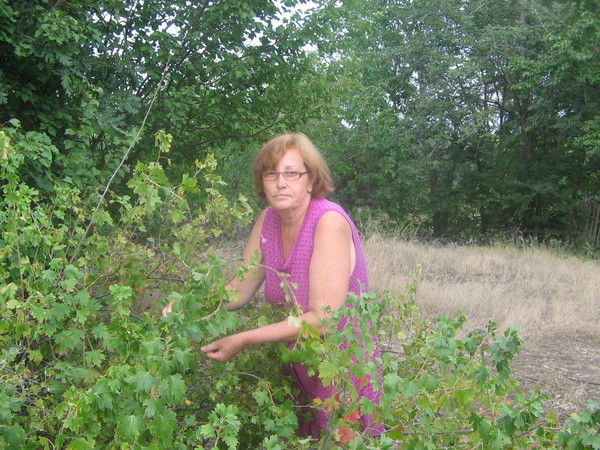 Людмила Никифорова