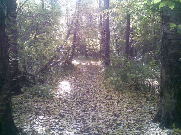 Андрей Мельников