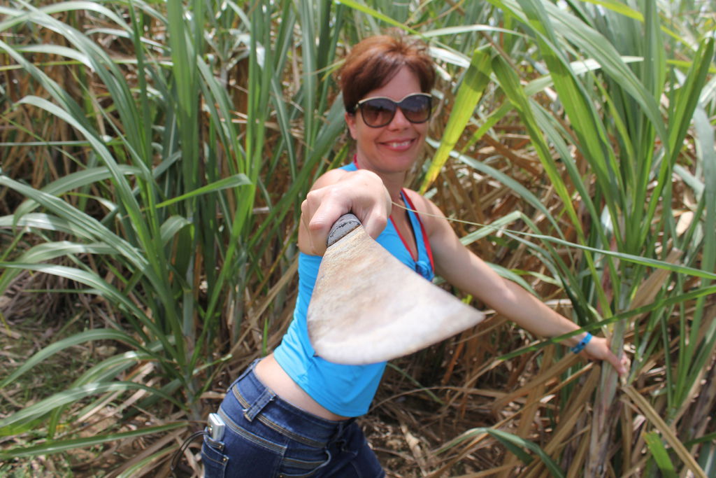 Анжелика Фрайганг