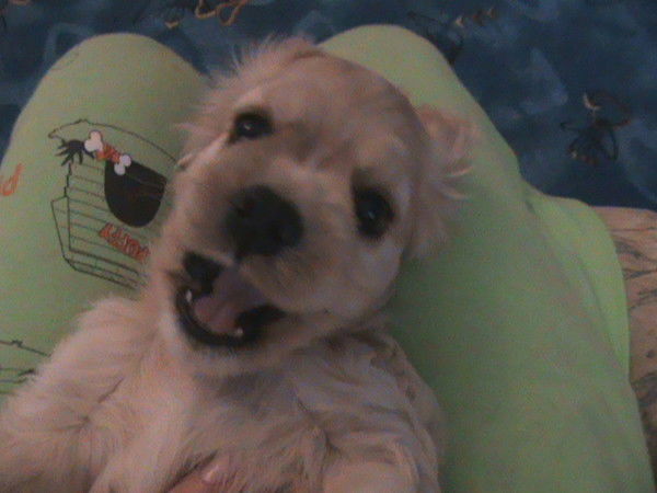 Елена Чуракова