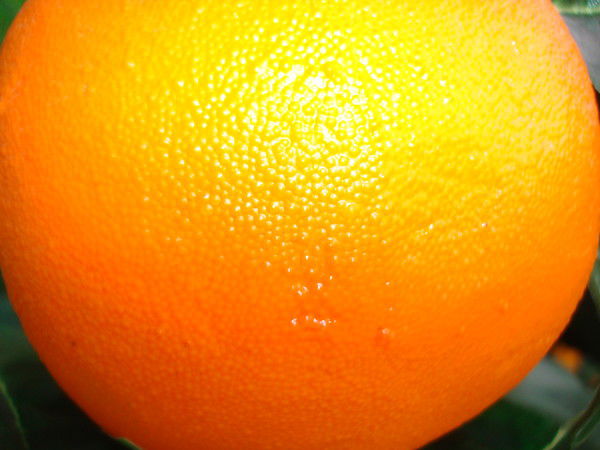 Роман Пындык