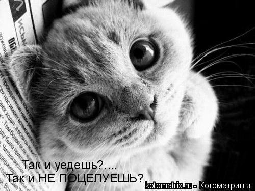 Катя Бигбашева