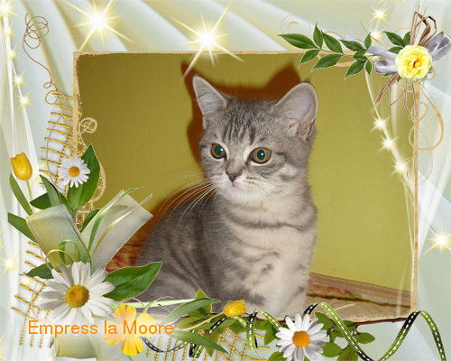 Елена Полякова