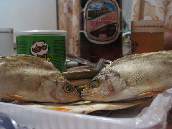 Светлана Ульянова