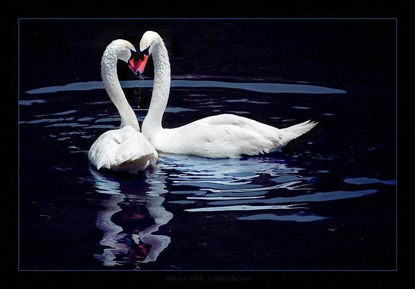 Ирина Беляева