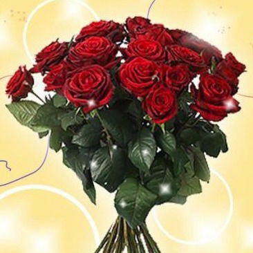 Ольга Шевченко