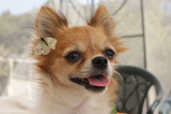 Неизвестно Неизвестно