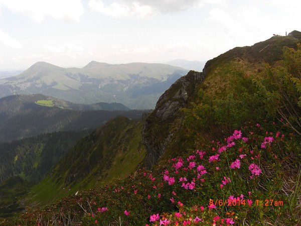 Олег Биличенко