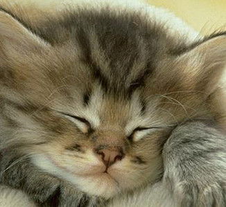 Лара Леонова