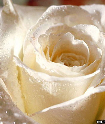 Олечка Григоренко