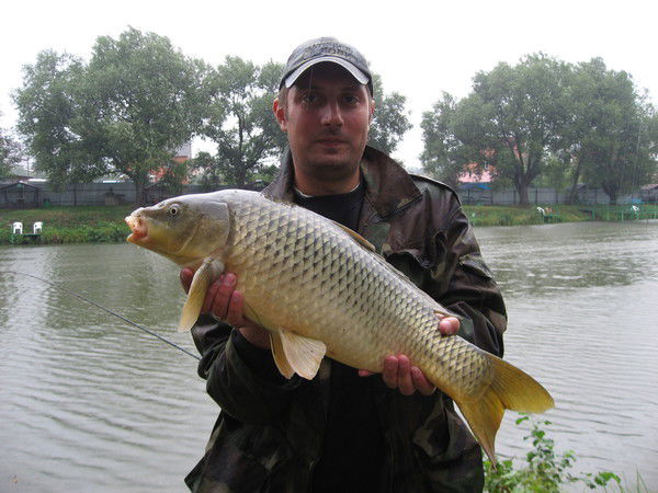 Шопов Димитр