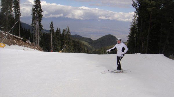 Елена Миско