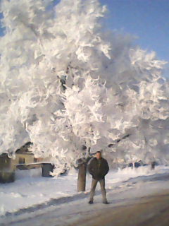 Константин Бурлак