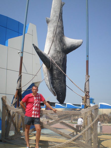 Дмитрий Сыпко