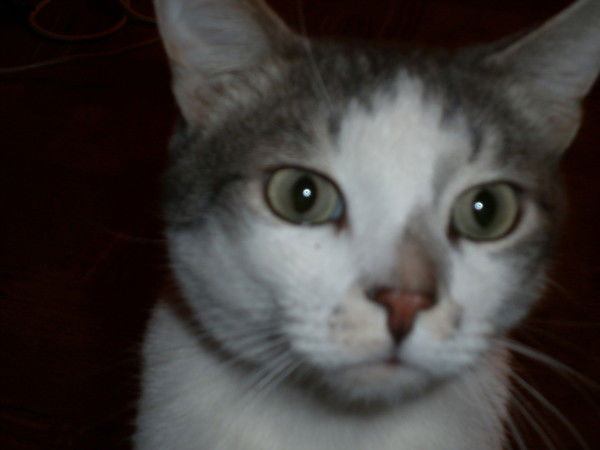 Владимир Казанский