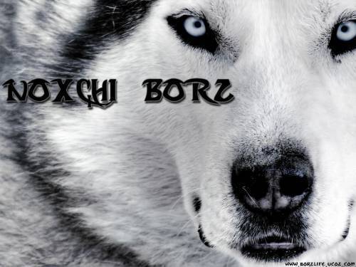 Исмаил Хабуев