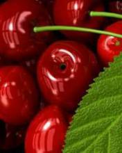 Татьяна Заярных