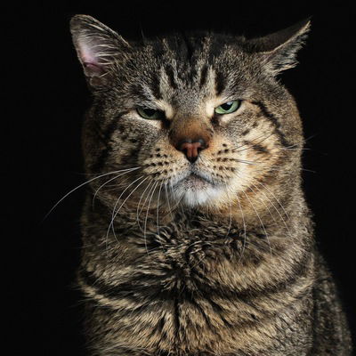 Евгений Добрый