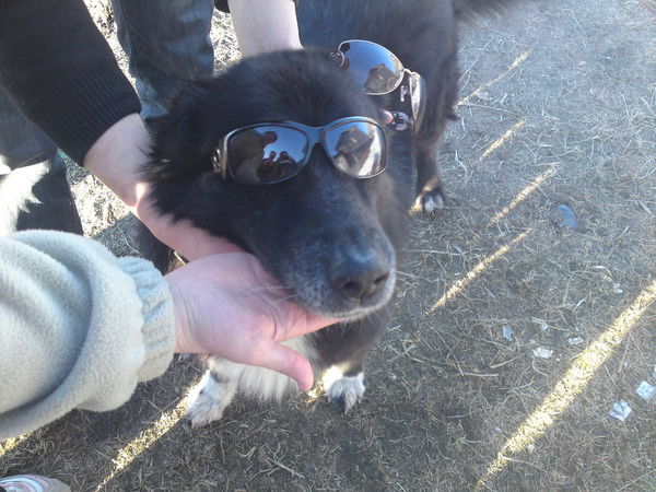 Наталья Калинина