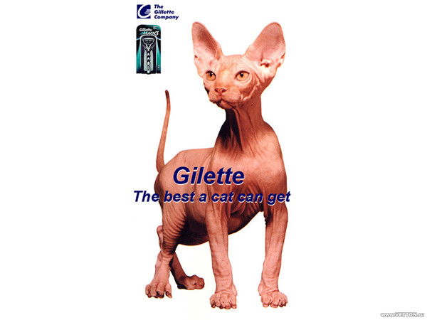 Дима Закржевский