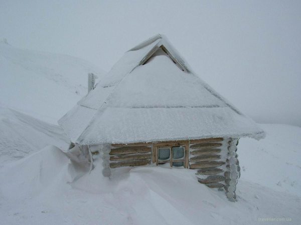 Тамара Кучер