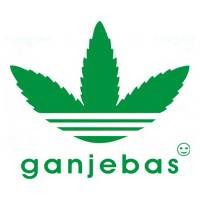 Тарас Брижатый