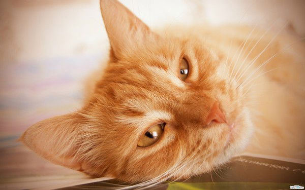 Лидия Вяткина