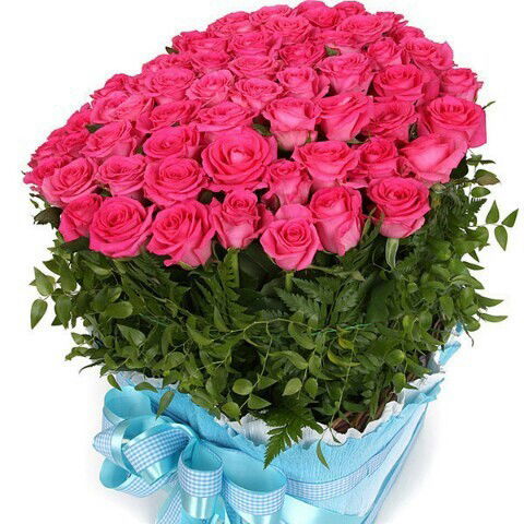 Алмаз Исмаилова