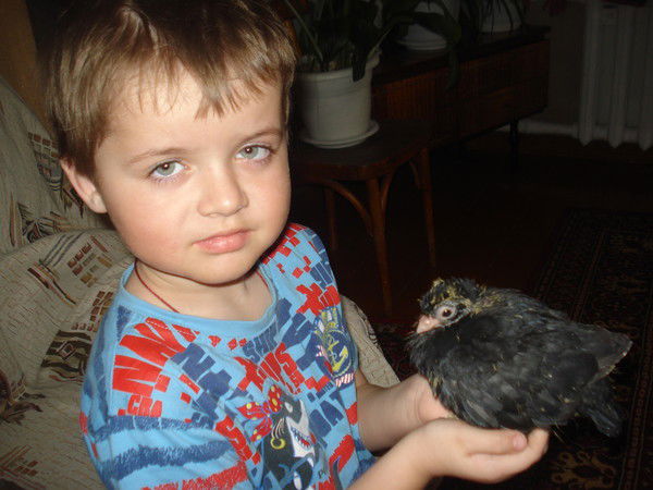 Глеб Пугач Нф 50