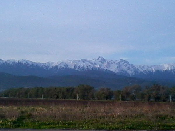 Искандер Арыстамбеков