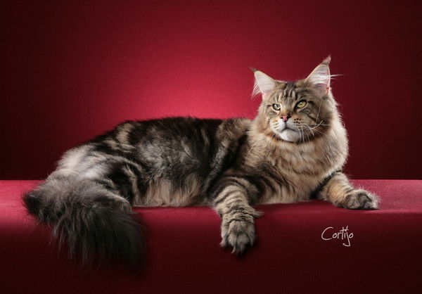 Любовь Маркова