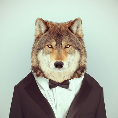 Николай Лыжников