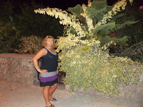 Анна Николаева