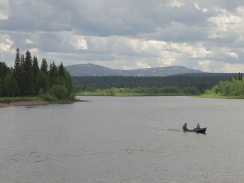 Андрей Пачгин