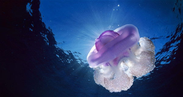 Наталия Михайлова