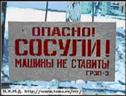 Тигра Бобров