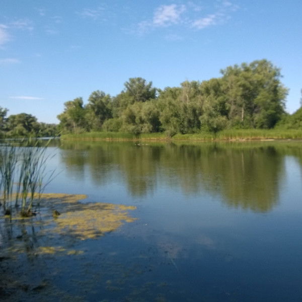 Вячеслав Ботяков