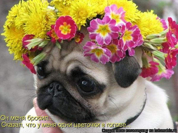 Алинький Цветочек