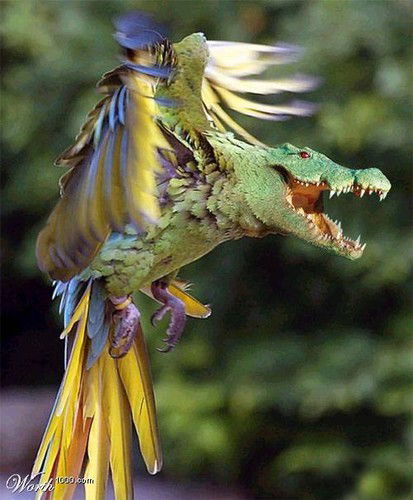 Евгений Иванов