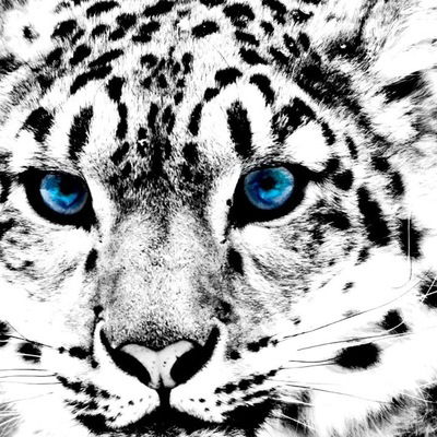 Эля Ломтева