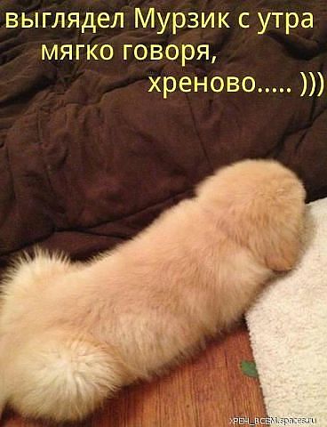 Мелентьева Светлана