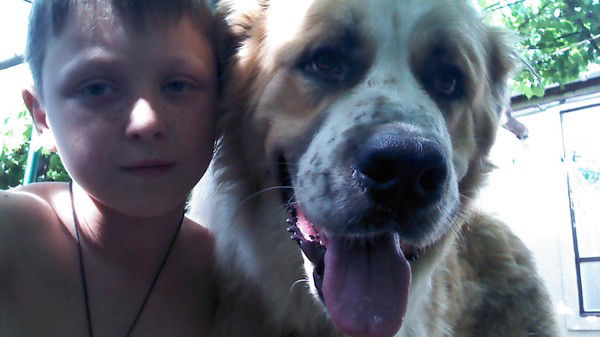 Даня Степаненко