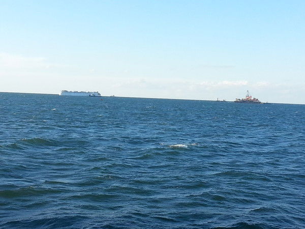 Виталя Сбитников