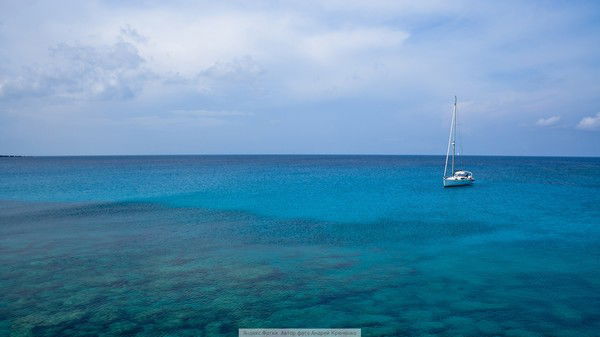 Любовь Шамаева