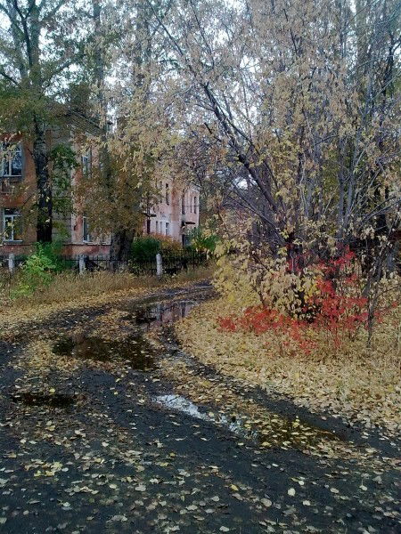 Оксана Макаева